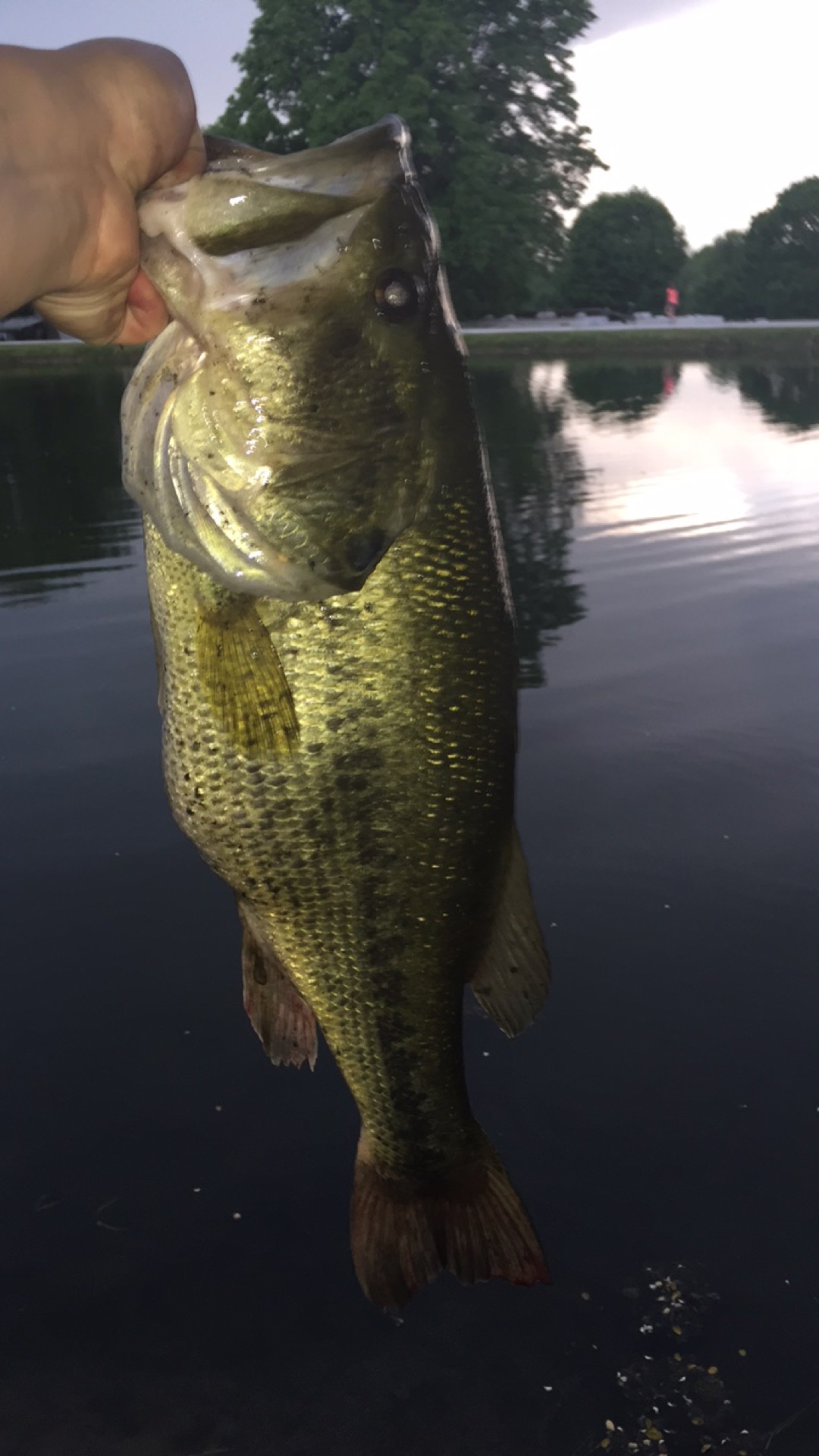 Hickory Lakes